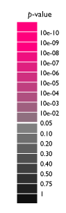 p-valueによる背景色チャート